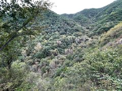 -玉渡山自然风景区