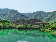 -龙坞茶村
