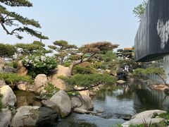 -BLACKSWAN黑天鹅(环球店)