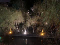 -同里湖度假村(二期店)