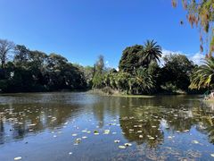 -墨尔本皇家植物园