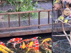 -顺德渔村·岭南一号