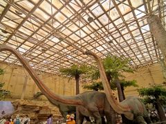 -国家自然博物馆