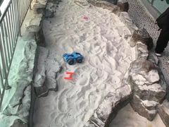 -台州海洋世界