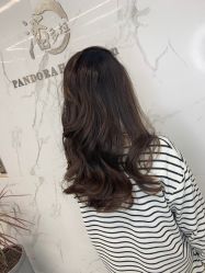 -潘多拉Hairsalon