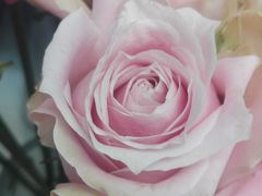 -一花一忆(松榆里市场店)