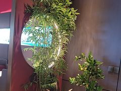 -7号院家宴.烧鸽子(门头沟店)