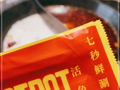 -七秒鱼·斑鱼火锅(太阳城店)