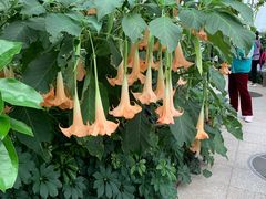 -北京植物园-展览温室