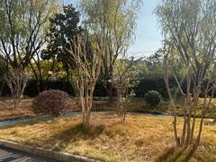 -上海爱以德护理院·康复(宝山院)