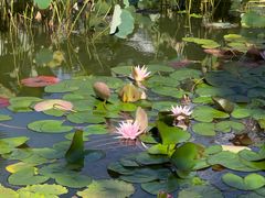 -国家植物园南园