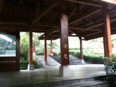 照片-天目湖御水温泉·度假酒店