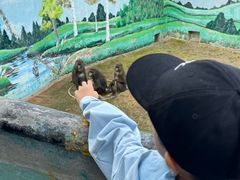 -西霞口神雕山野生动物世界