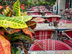 -BROWNSTONE布朗石西班牙餐厅(富城店)