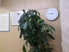 -团圆口腔·种植中心(锦江院区)