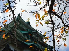 -名古屋城