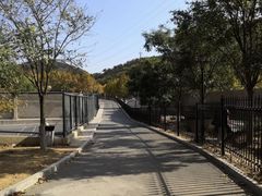 -大连东软信息学院(软件园校区)