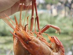 -丫丫蟹庄·苏式园林农家乐·阳澄湖大闸蟹(阳澄湖莲花岛店)