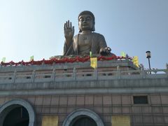 -龙口南山旅游景区