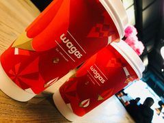 -Wagas沃歌斯(北京君太百货店)