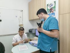 -宠福鑫康馨动物医院·骨科·眼科