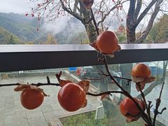 -丹山赤水风景名胜区