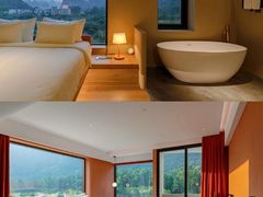 -遇龙河大樟树农家乐