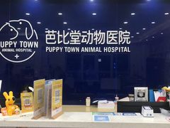 -芭比堂动物医院·24小时·眼科中心(深圳中心)