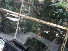 -RGF(巨鹿路店)