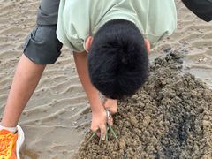 -刘家湾赶海园