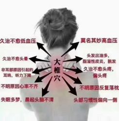 -香薇妮丝·定制减肥·身材管理