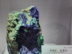 -湖南省地质博物馆