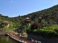 -徂徕山森林康养度假谷温泉