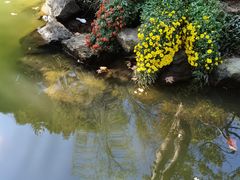 -杭州植物园
