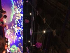 -大成海鲜烧烤·小龙虾(七宝店)
