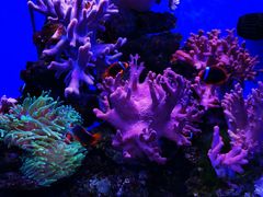 -多彩贵州城极地海洋世界