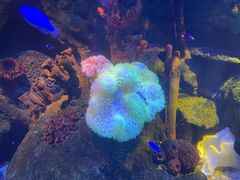 -沈阳海洋探索中心