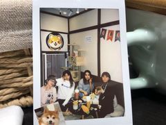 -逗柴咖啡屋·狗咖猫咖宠物桌游