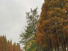 -蜀绣公园