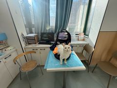 -瑞派·关忠动物医院·猫专科·犬专科(三环新城店)