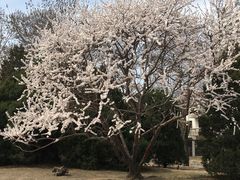 美-北京动物园