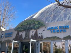 -北京环球影城主题公园-停车楼