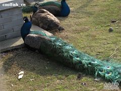 -同济大学(嘉定校区)