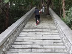 -四门塔风景区