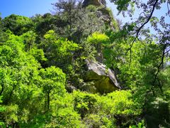 -青峰峡国家森林公园