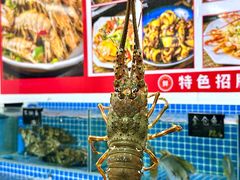 -双月饭店·20年老字号(新村店)
