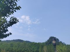 -棒棰岛宾馆景区