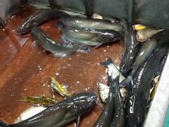 -三旗百汇商品城