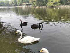 -石家庄市动物园