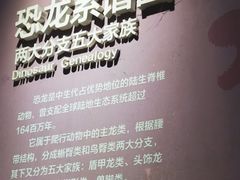 -重庆自然博物馆(新馆)